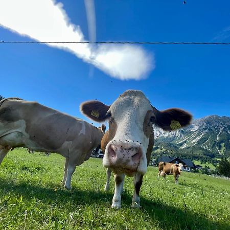 Pension Moeslehnerhof Ramsau am Dachstein Eksteriør billede