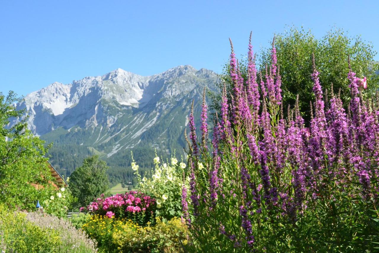 Pension Moeslehnerhof Ramsau am Dachstein Eksteriør billede