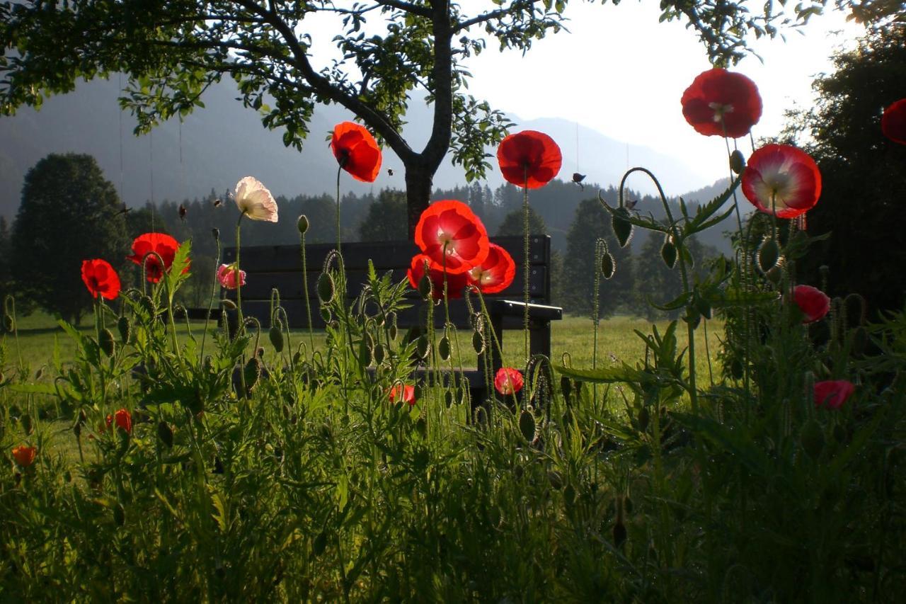 Pension Moslehnerhof Ramsau am Dachstein Eksteriør billede