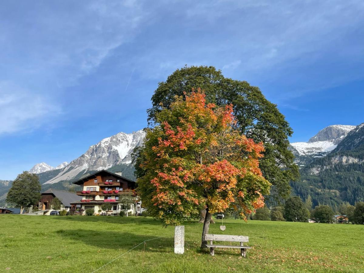 Pension Moeslehnerhof Ramsau am Dachstein Eksteriør billede
