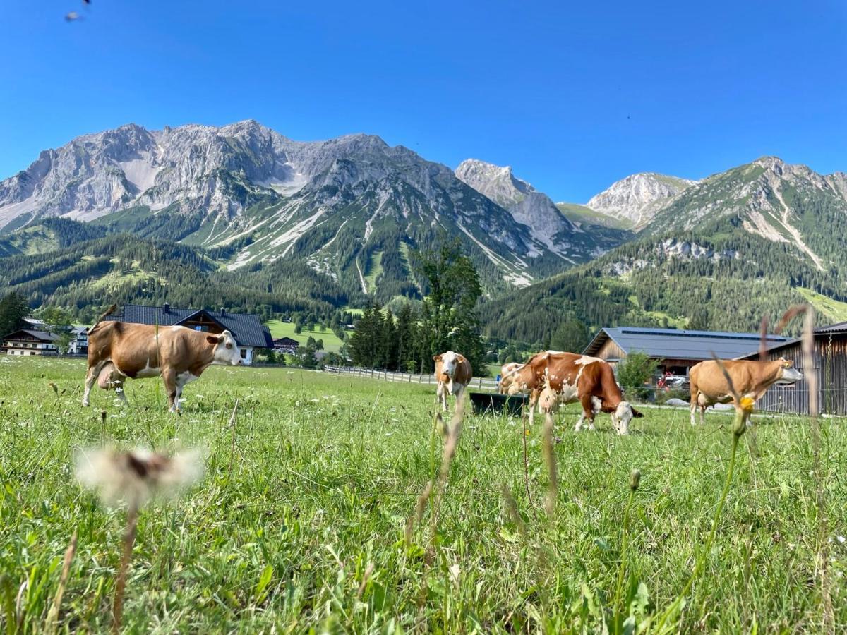 Pension Moeslehnerhof Ramsau am Dachstein Eksteriør billede